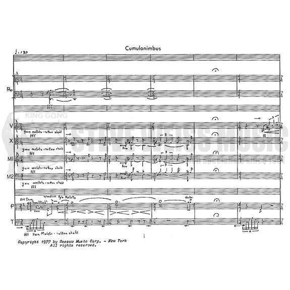 Schietroma-Cumulus-P/3M/V/X/4T-PN OS