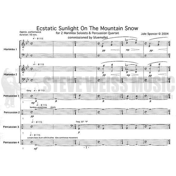 Spencer-Ecstatic Sunlight on the Mountain Snow(sextet)(SP)