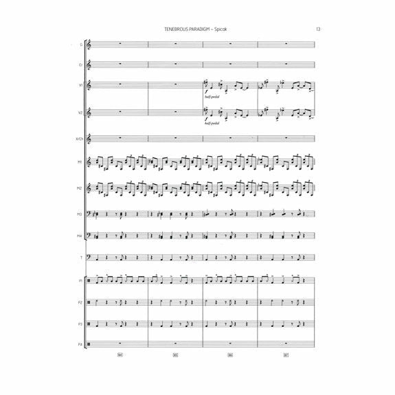 Spicak-Tenebrous Paradigm (SP)-B/C/4M/P/4T/2V/X
