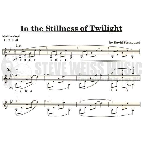 Steinquest-In the Stillness of Twilight-V