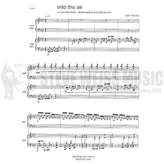 Trevino-Into the Air (SP)-2M