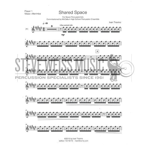 Trevino-Shared Space