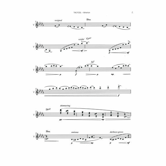 Wharton-Fool, The-V/multimedia