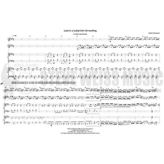 Zolnowski-Lost in a Labyrinth Unraveling (SP)-4M OS