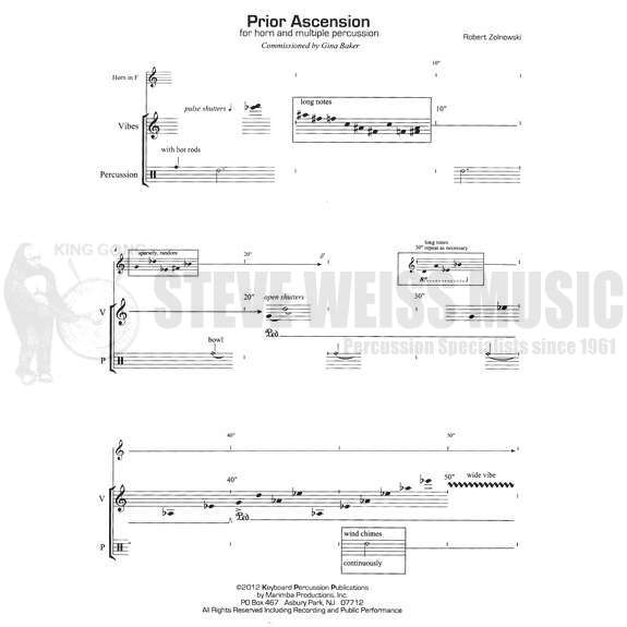 Zolnowski-Prior Ascension (Love Vibe version) (SP)-V/P/HN